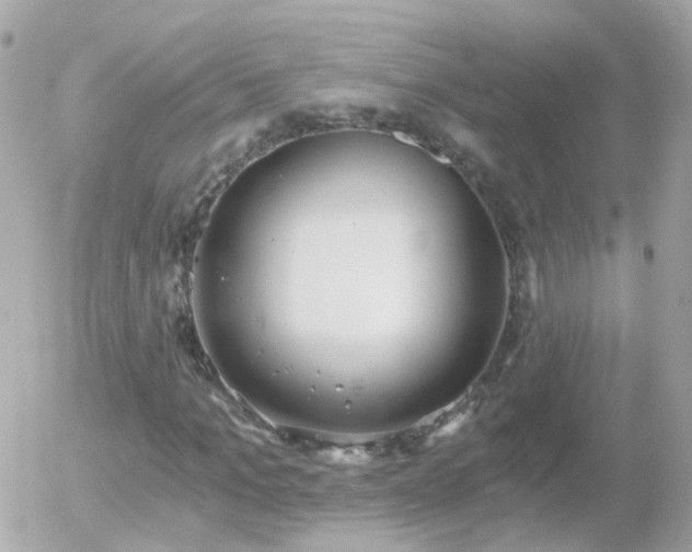 X0000056030965200508261902