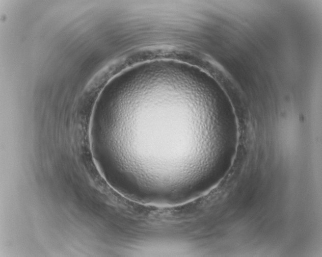 X0000056030967200508261902