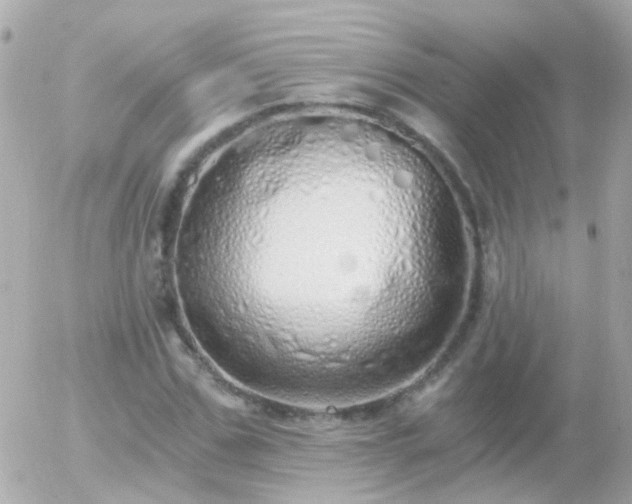 X0000056030971200508261902