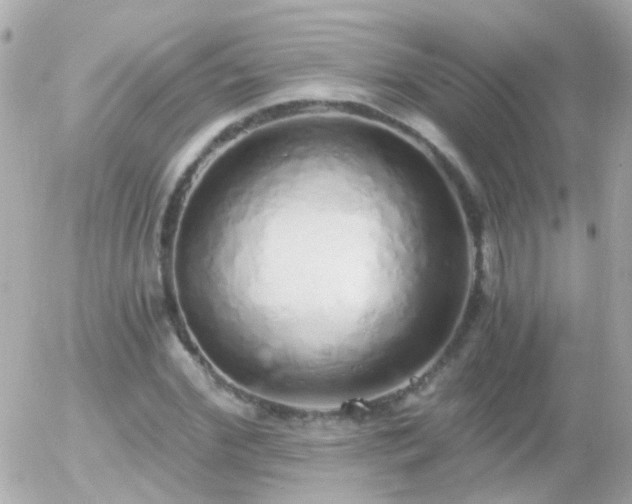 X0000056030972200508261902