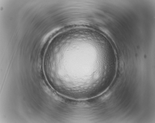 X0000056030979200508261902