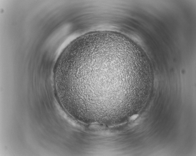 X0000056030990200508261902