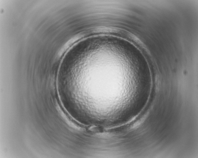 X0000056031033200508261901