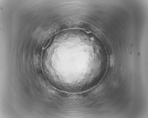 X0000056031059200508261901