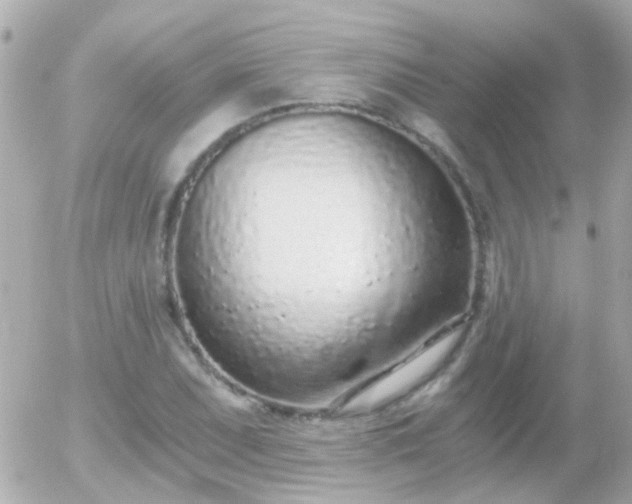 X0000056031071200508261901