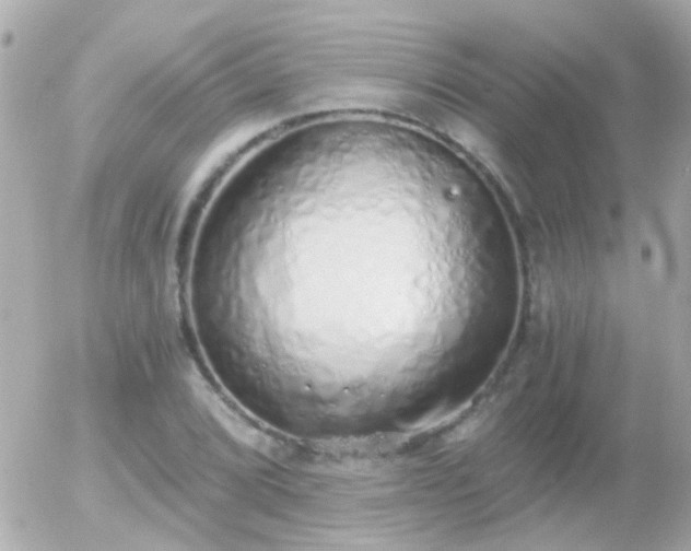 X0000056031072200508261901