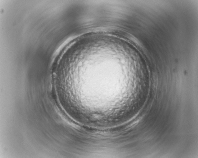 X0000056031075200508261901