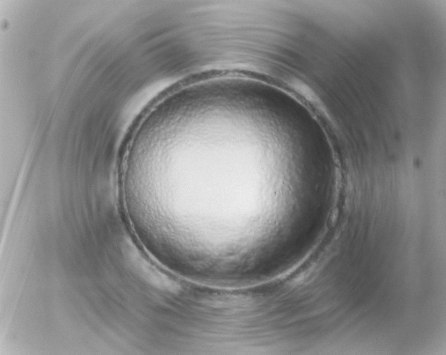X0000056031076200508261901
