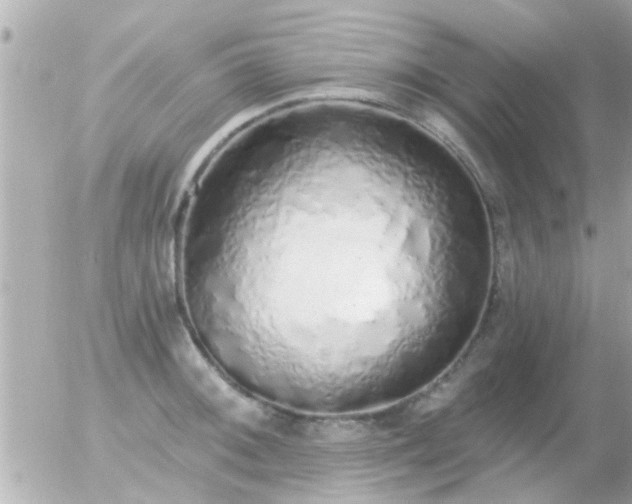 X0000056031092200508261900
