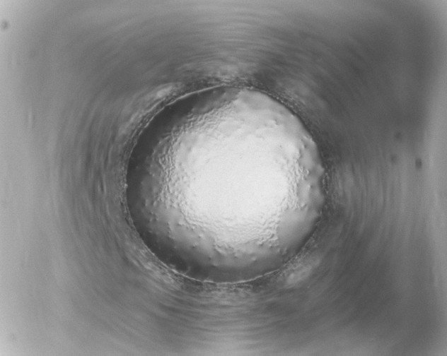 X0000056031105200508261859