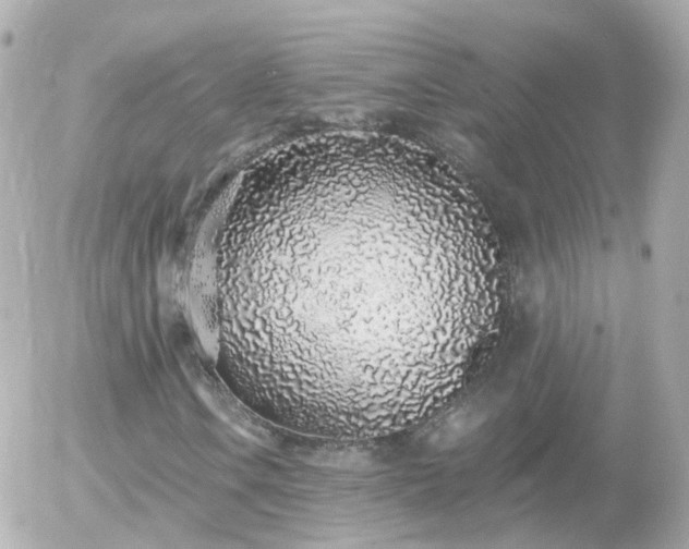 X0000056031106200508261859