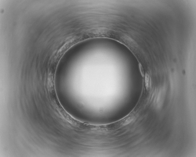 X0000056031107200508261859