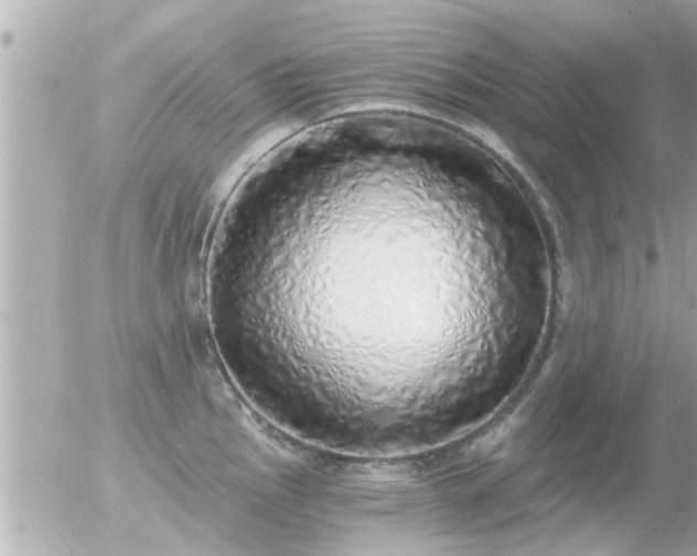 X0000056031145200508261900
