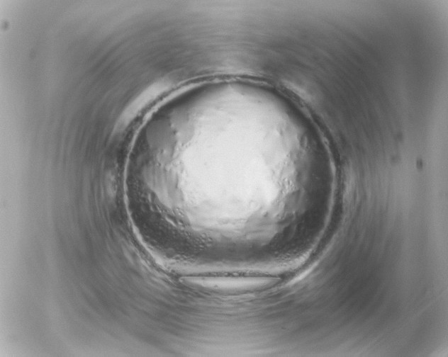 X0000056031163200508261859