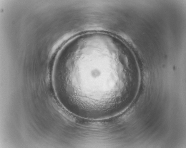 X0000056031167200508261859