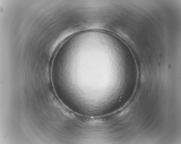 X0000056031174200508261859