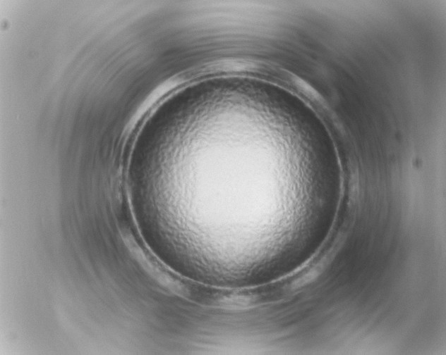 X0000056031178200508261859