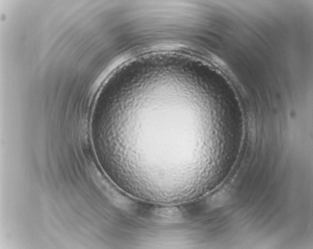 X0000056031186200508261859