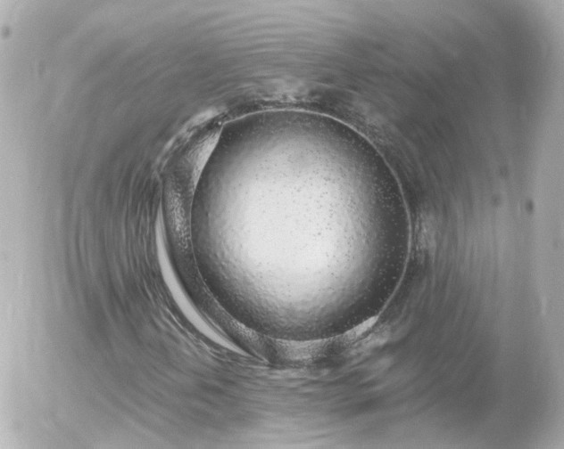 X0000056031202200508261858