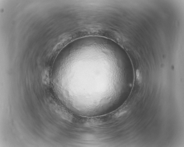 X0000056031203200508261858