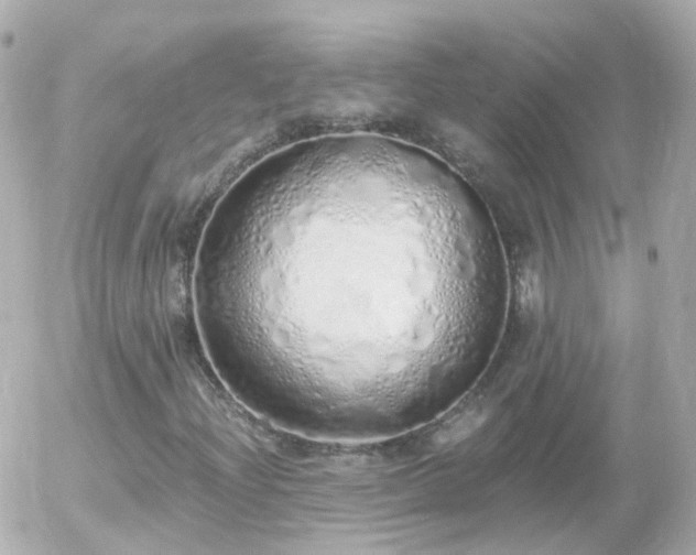 X0000056031204200508261858