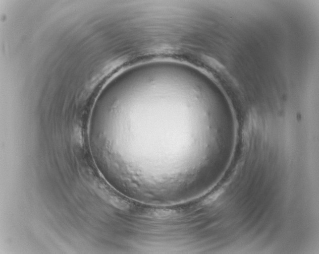 X0000056031209200508261858