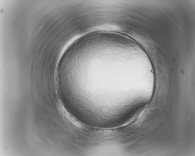 X0000056031248200508261858
