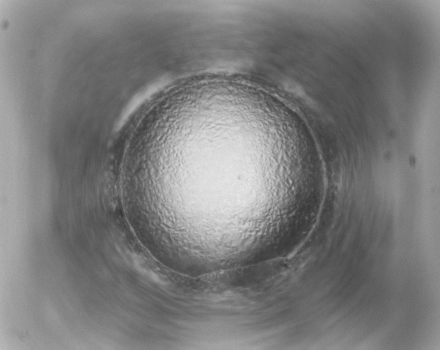 X0000056031256200508261858