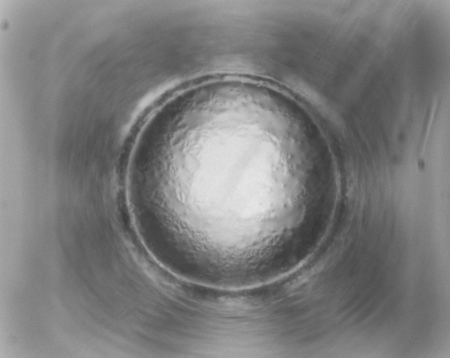 X0000056031264200508261857