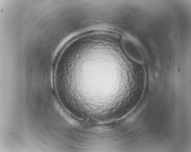 X0000056031272200508261857