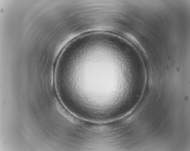 X0000056031276200508261857