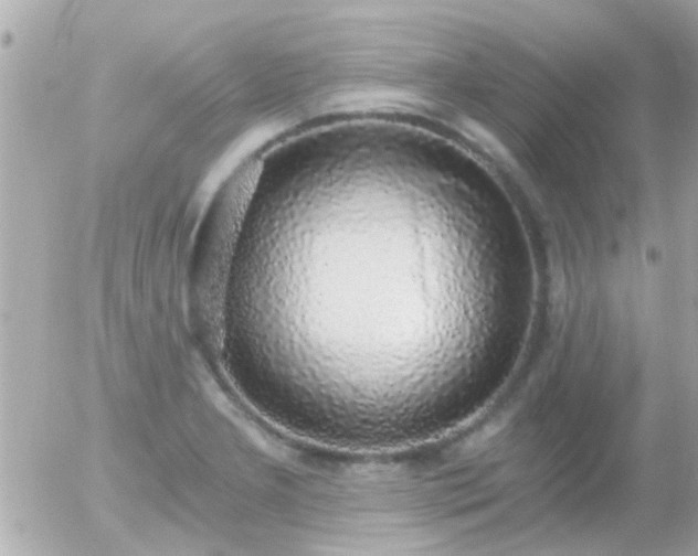 X0000056031277200508261857