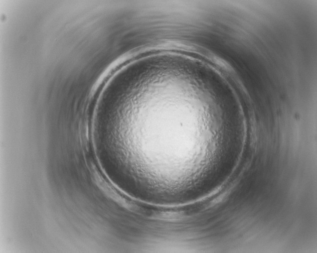 X0000056031280200508261857