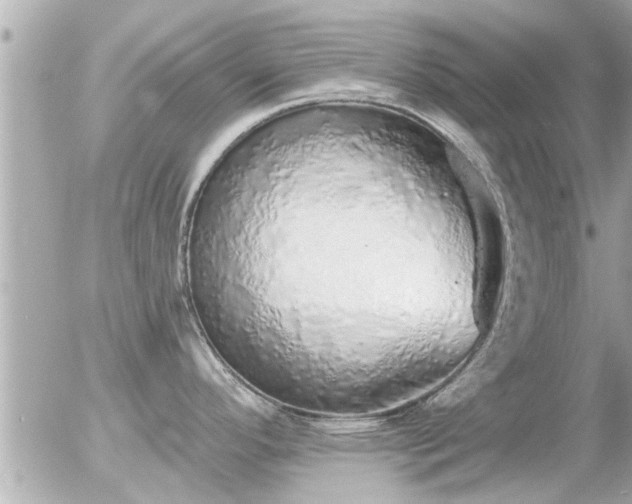 X0000056031296200508261857