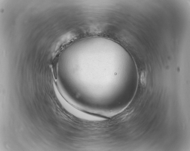 X0000056031299200508261856