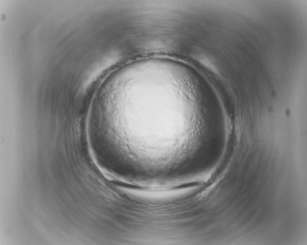 X0000056031309200508261856