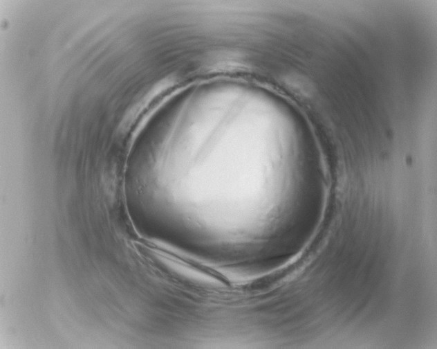X0000056031313200508261856