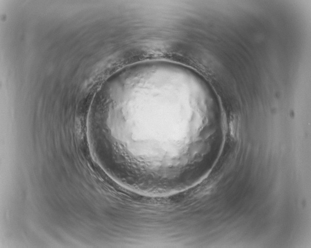 X0000056031347200508261856