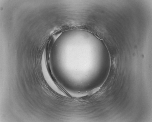 X0000056031348200508261856