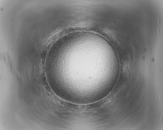 X0000056031350200508261856