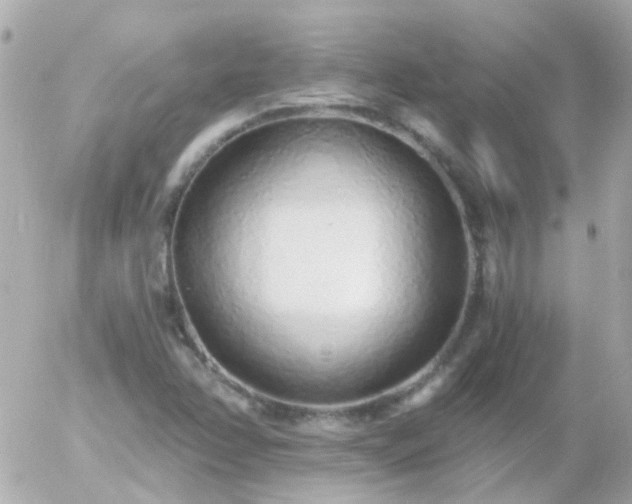 X0000056031358200508261856