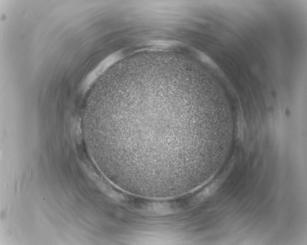 X0000056031362200508261856