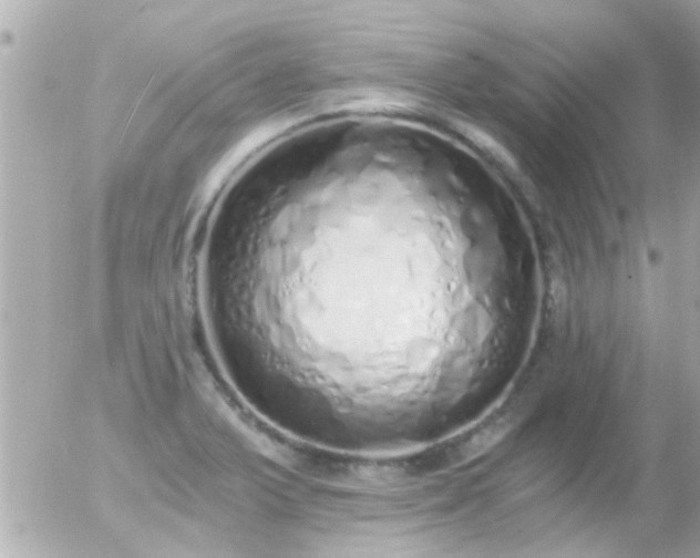 X0000056031375200508261856
