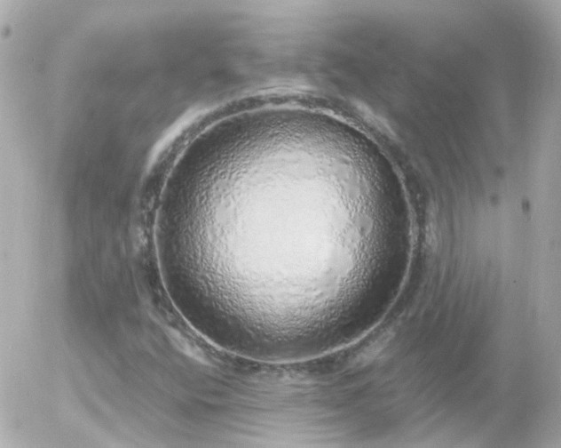X0000056031400200508261855