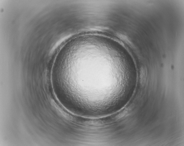 X0000056031404200508261855