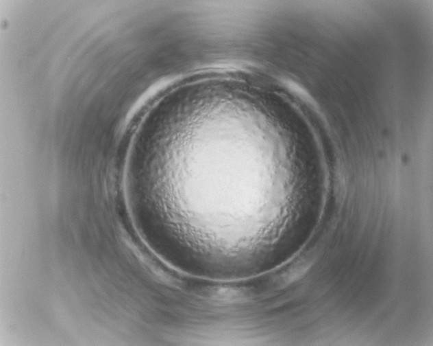 X0000056031412200508261855
