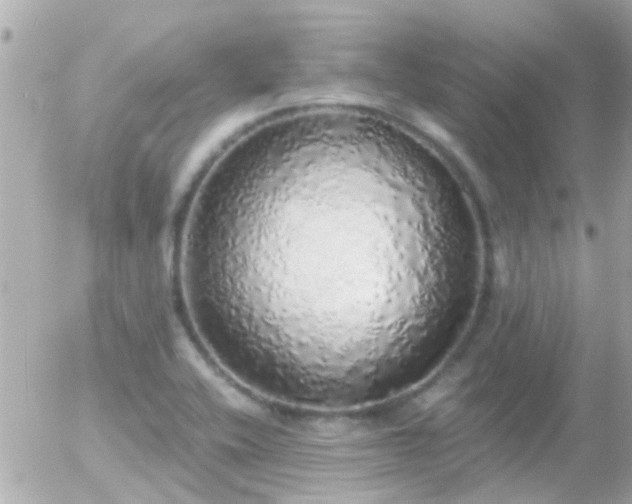 X0000056031416200508261855