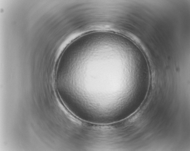 X0000056031432200508261855