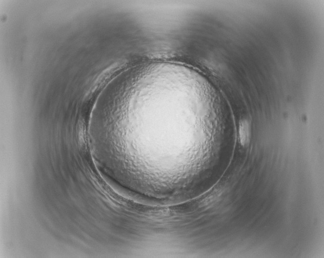 X0000056031444200508261854