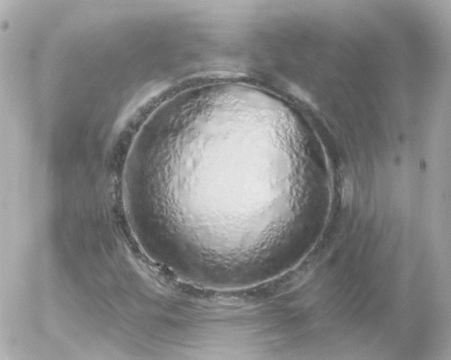X0000056031448200508261854